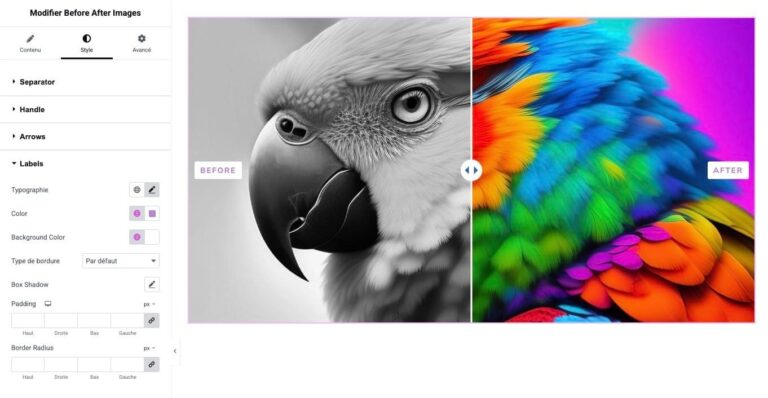 Comparaison d’images avant après pour Elementor : capture d’écran 7