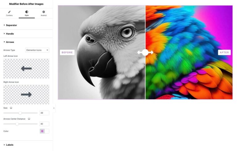 Comparaison d’images avant après pour Elementor : capture d’écran 6