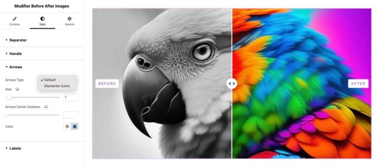 Comparaison d’images avant après pour Elementor : capture d’écran 5