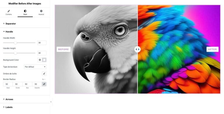 Comparaison d’images avant après pour Elementor : capture d’écran 4