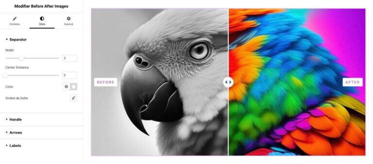Comparaison d’images avant après pour Elementor : capture d’écran 3